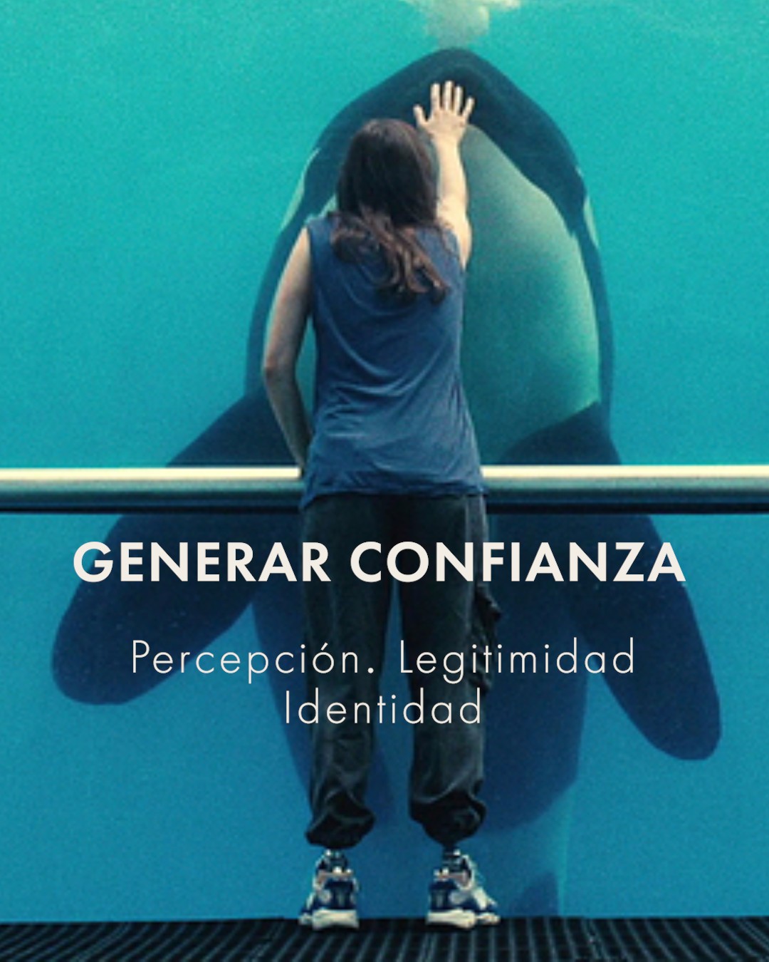Generar confianza: percepci&oacute;n, legitimidad e identidad